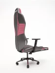 Stark0000-8-jpg